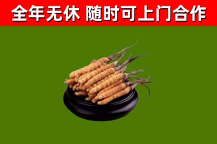 云溪烟酒回收冬虫夏草.jpg